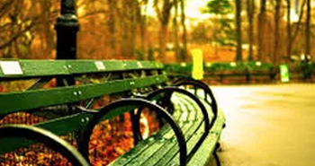 Picture of a bench